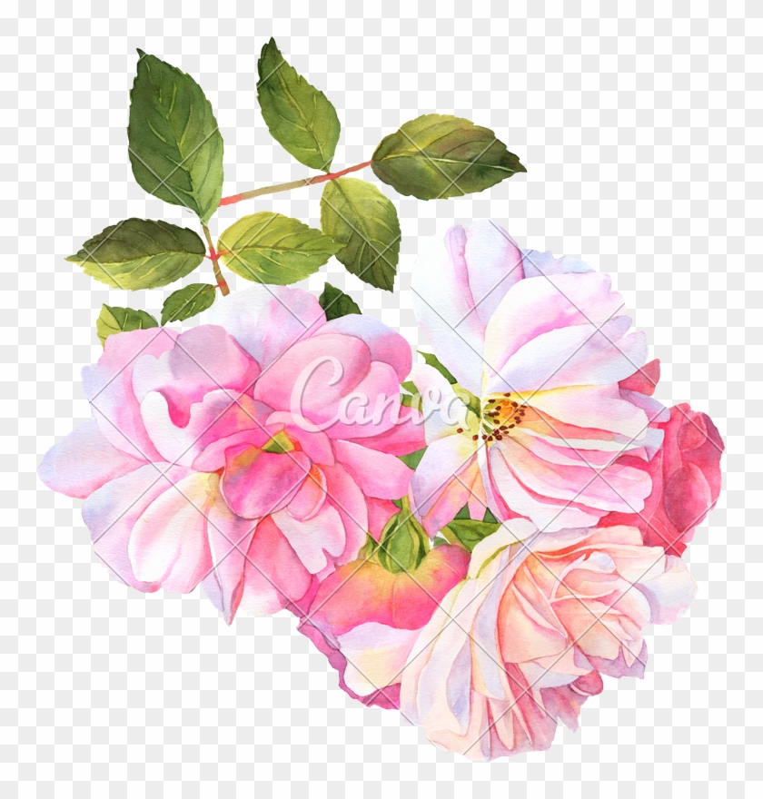 cute flowers transparent background 0086