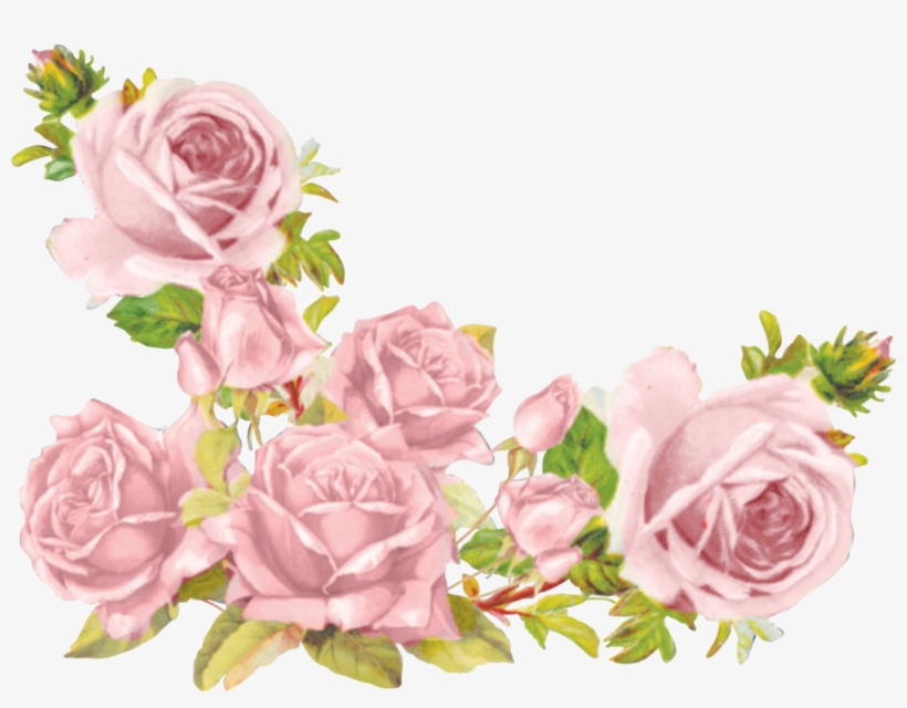 cute flowers transparent background 0095