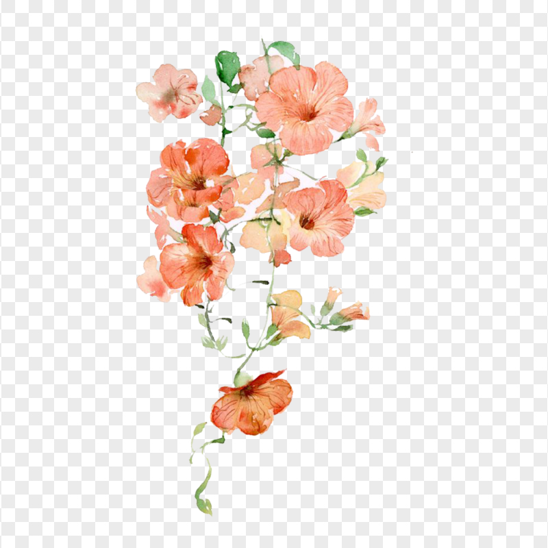 cute flowers transparent background 0099