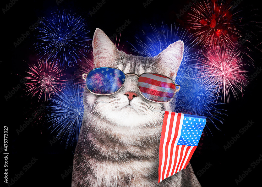 cute Fourth of July backgrounds 0027