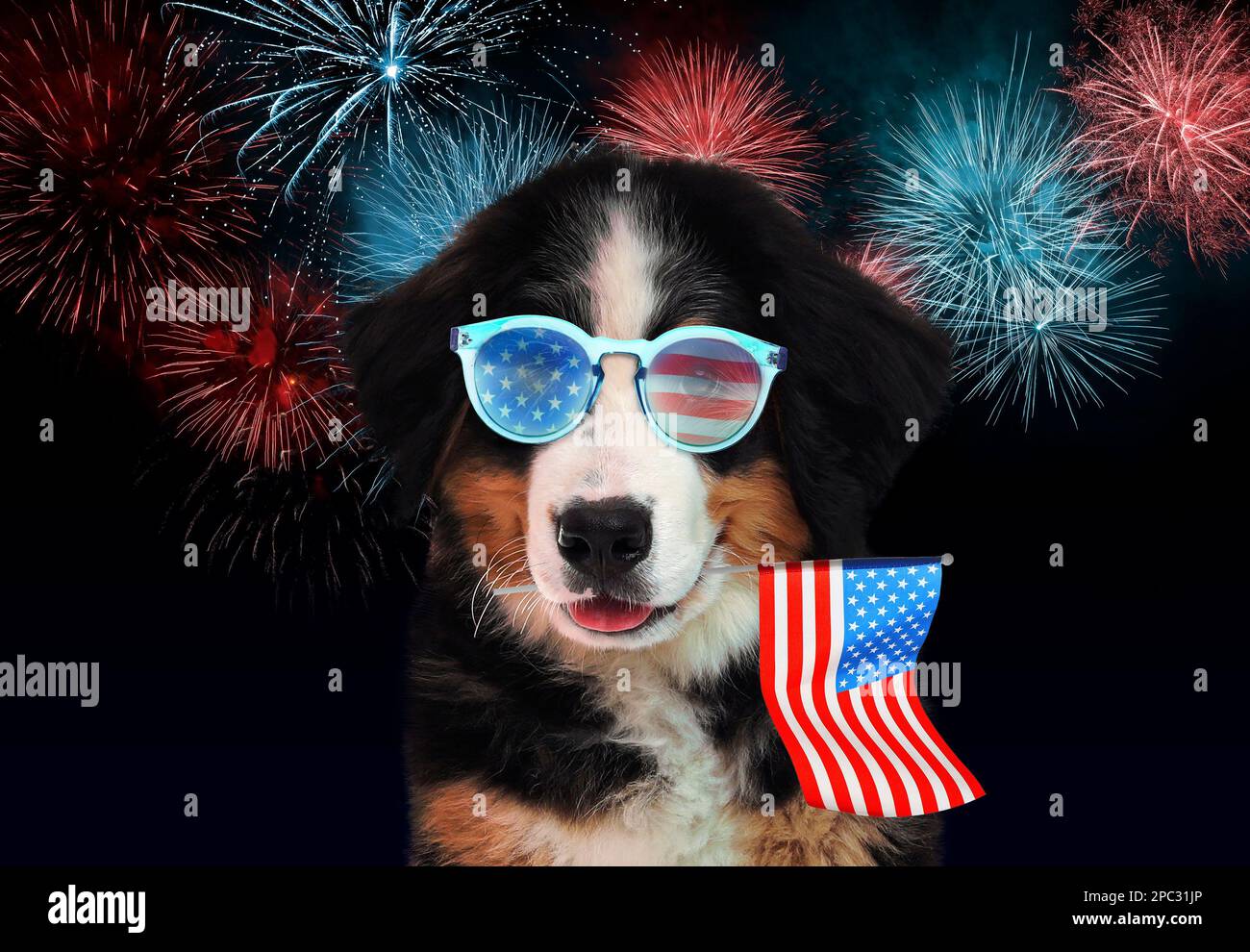 cute Fourth of July backgrounds 0087