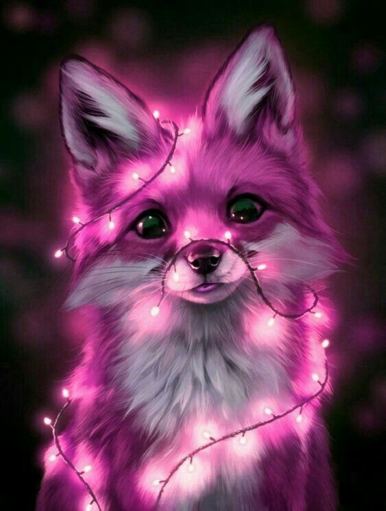 cute fox backgrounds 0060