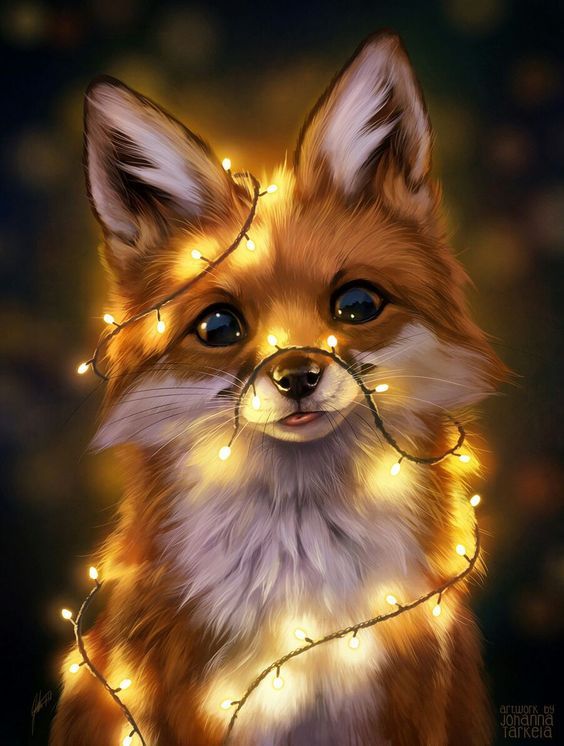 cute fox backgrounds 0064