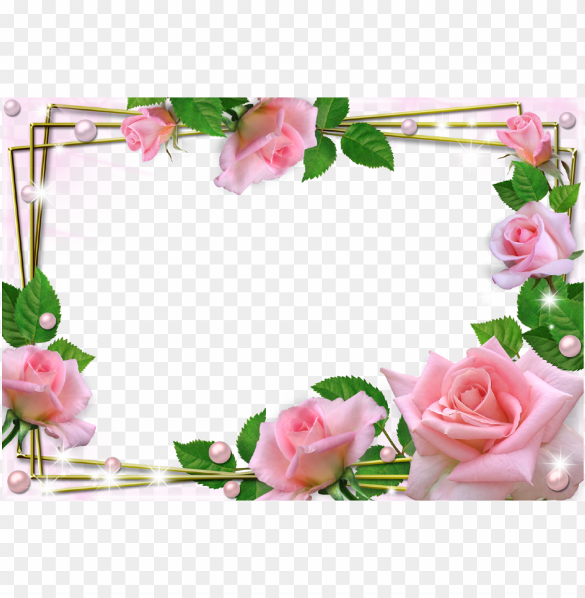 cute frame design pink flowers clear background 0016