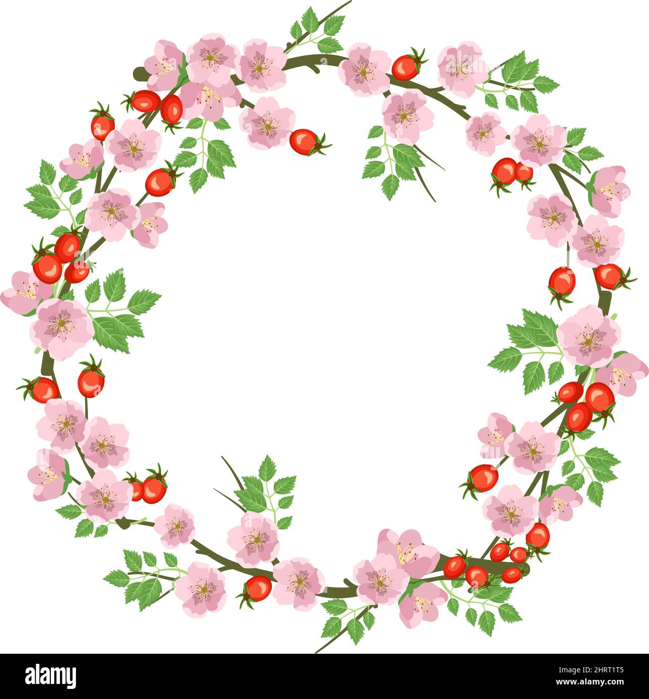 cute frame design pink flowers clear background 0020