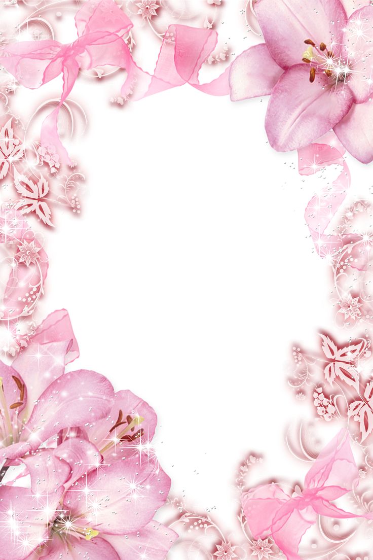 cute frame design pink flowers clear background 0024