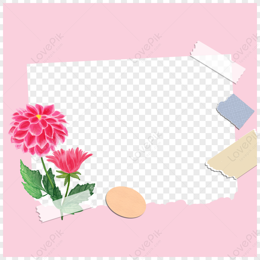 cute frame design pink flowers clear background 0025