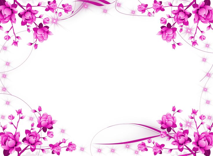 cute frame design pink flowers clear background 0033