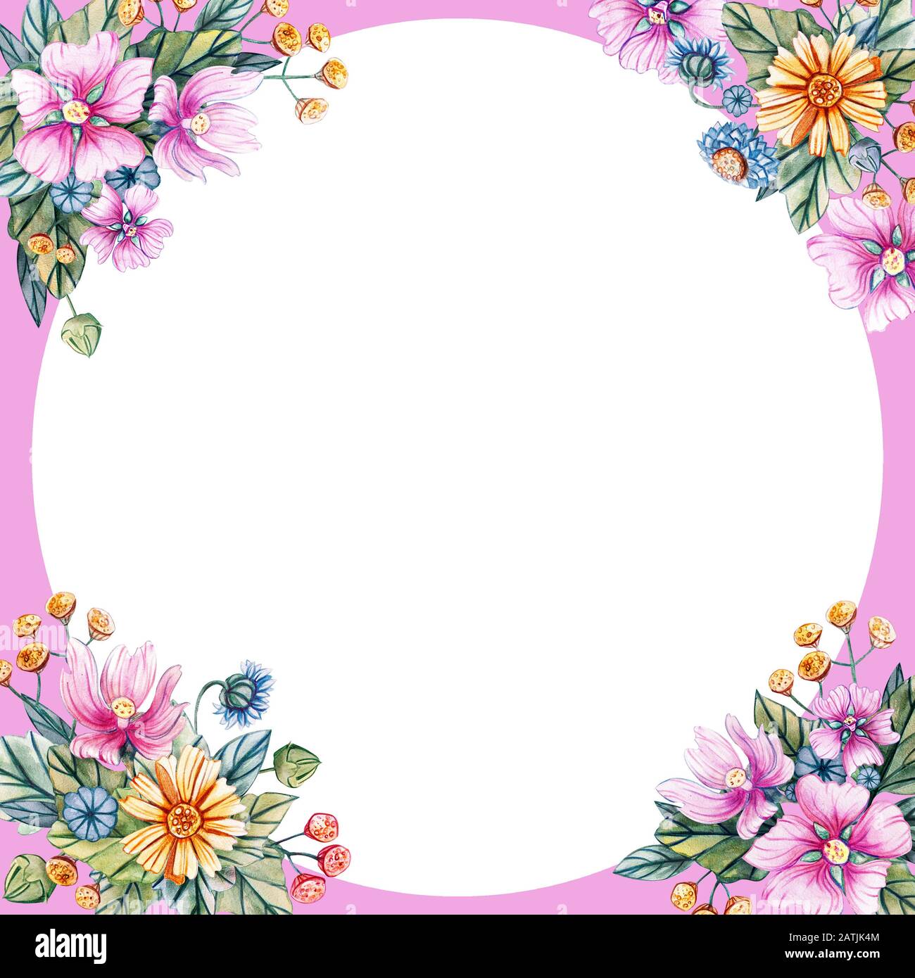 cute frame design pink flowers clear background 0057