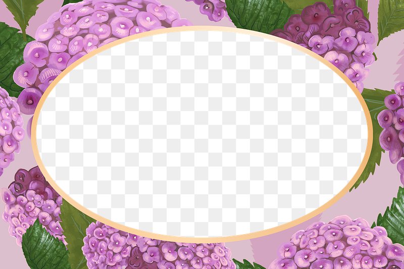 cute frame design pink flowers clear background 0063