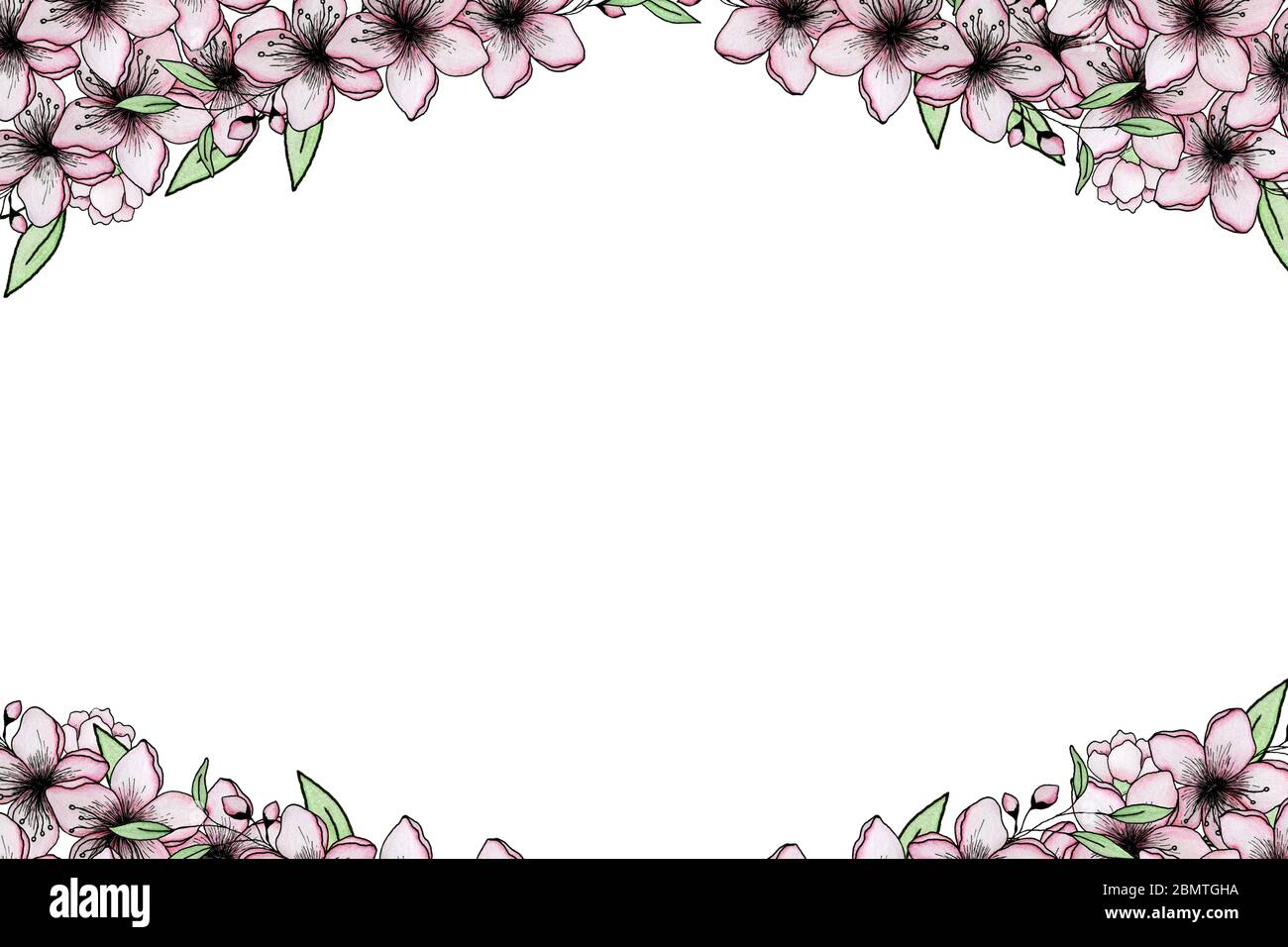 cute frame design pink flowers clear background 0067