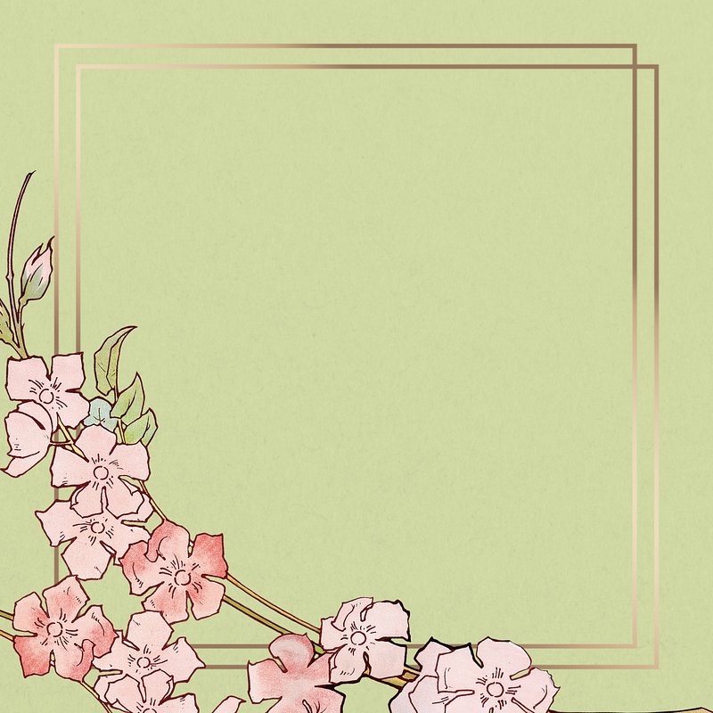 cute frame design pink flowers clear background 0068