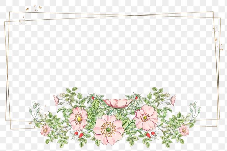 cute frame design pink flowers clear background 0082