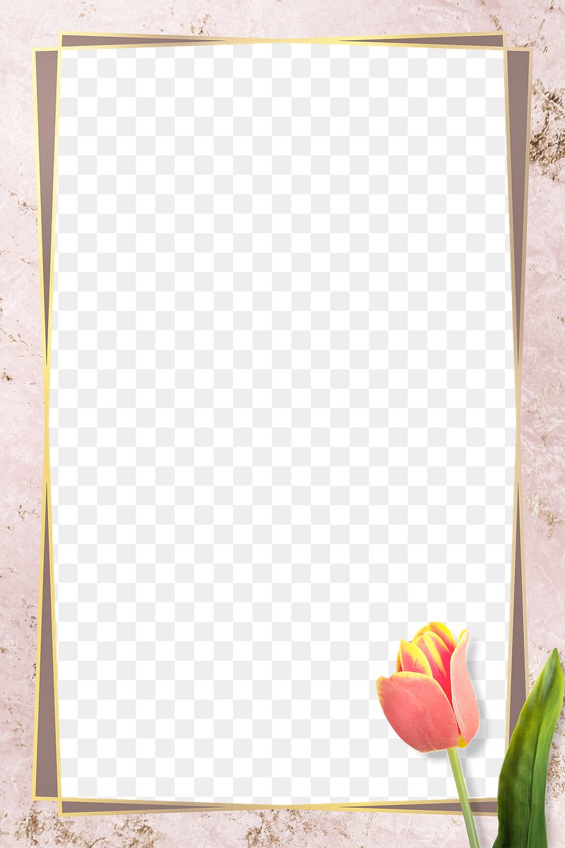 cute frame design pink flowers clear background 0086