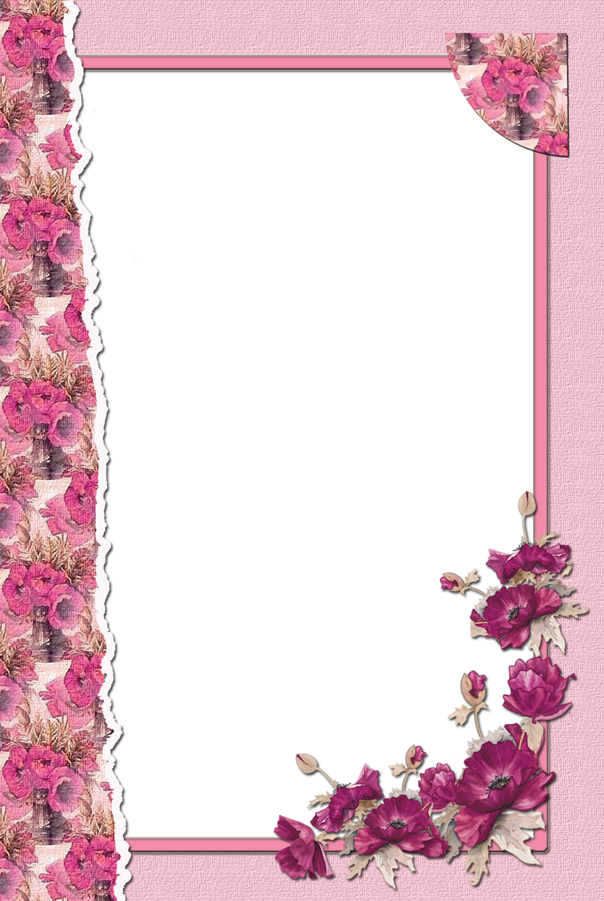 cute frame design pink flowers clear background 0097