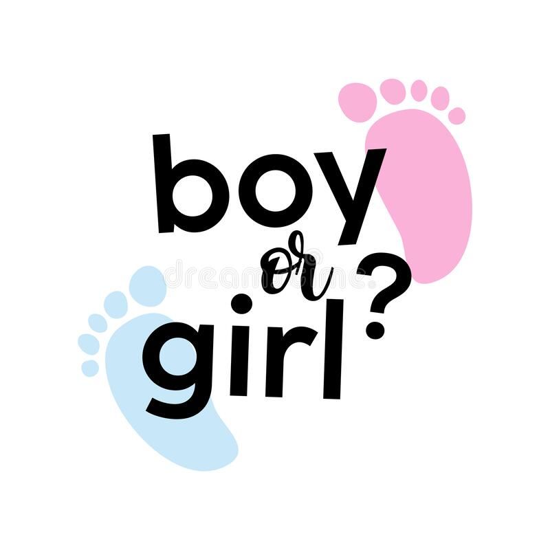 cute gender reveal background 0095