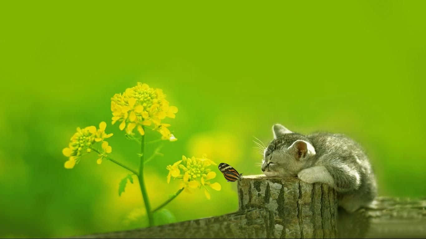 cute green backgrounds 0015