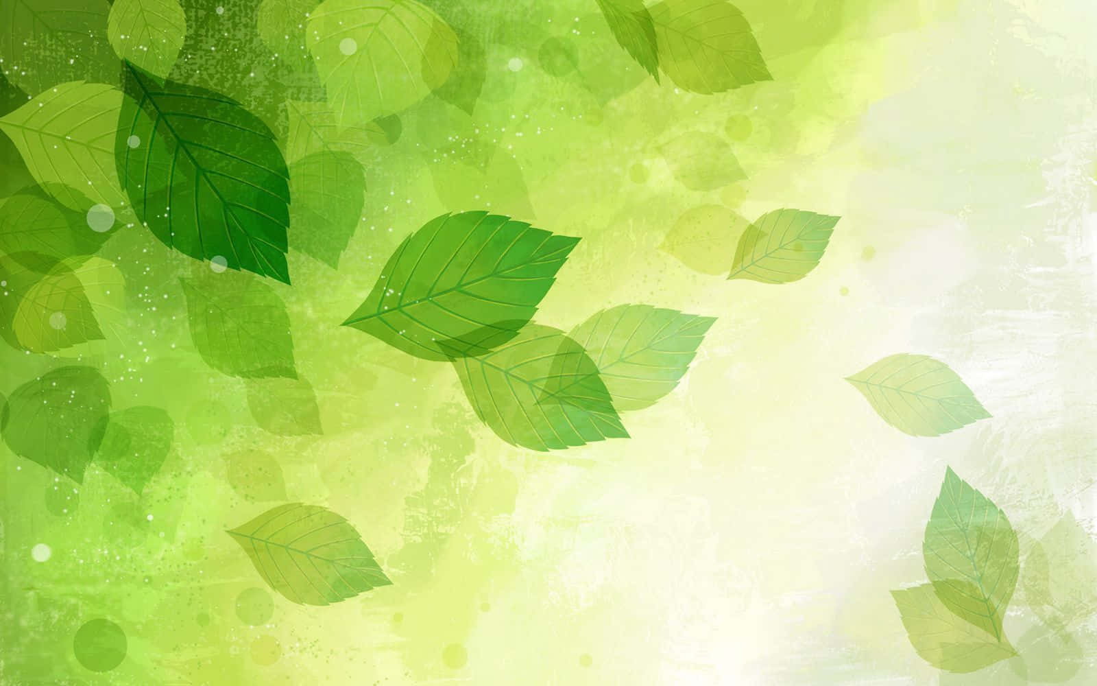 cute green backgrounds 0057