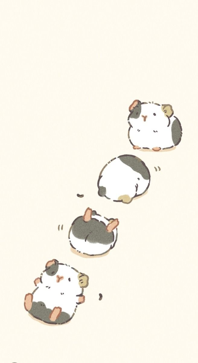 cute guinea pig backgrounds 0022