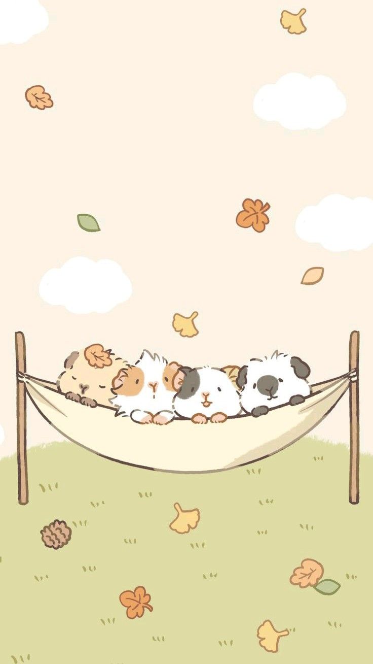 cute guinea pig backgrounds 0025