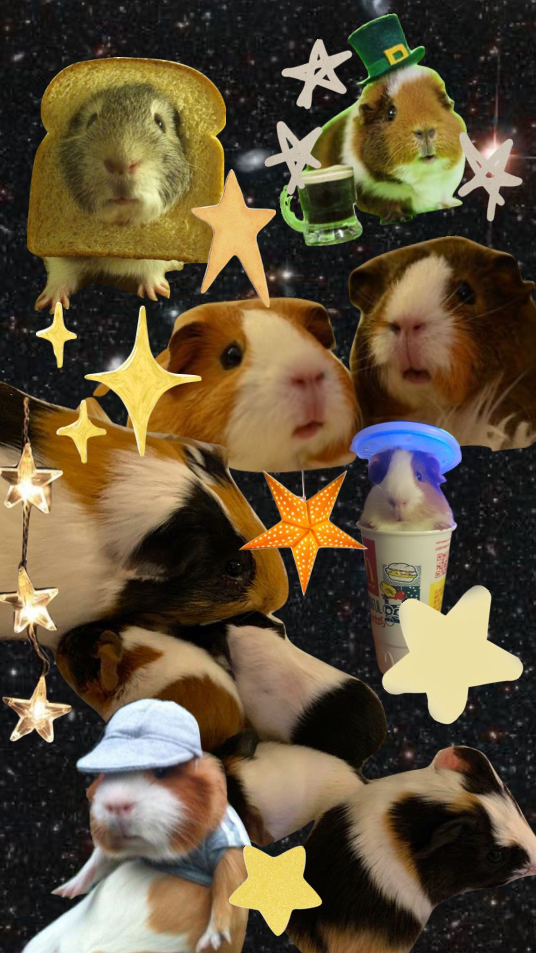 cute guinea pig backgrounds 0038