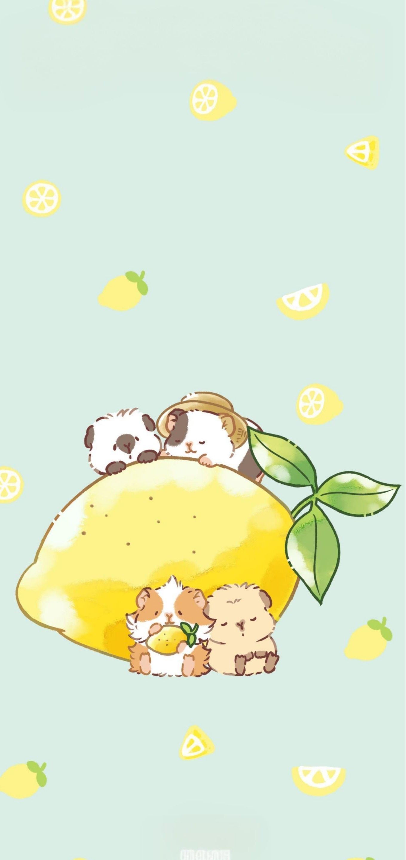 cute guinea pig backgrounds 0041