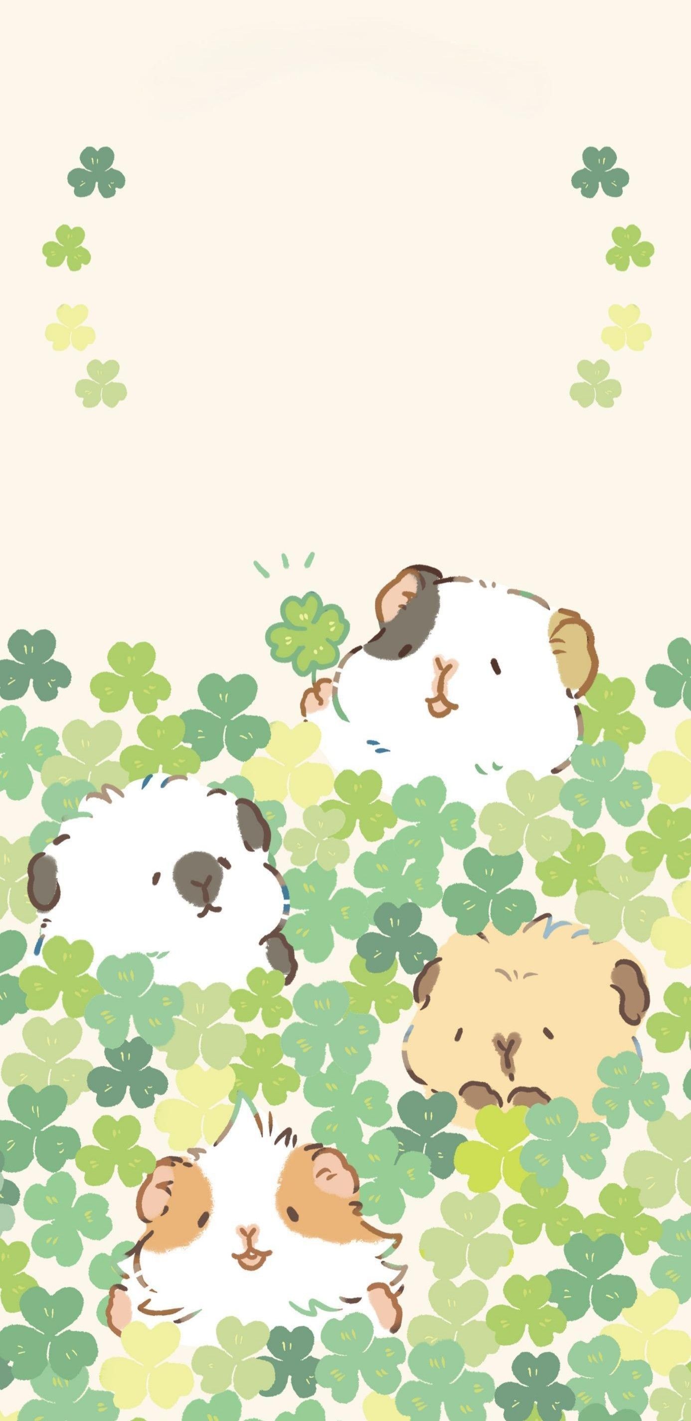 cute guinea pig backgrounds 0049