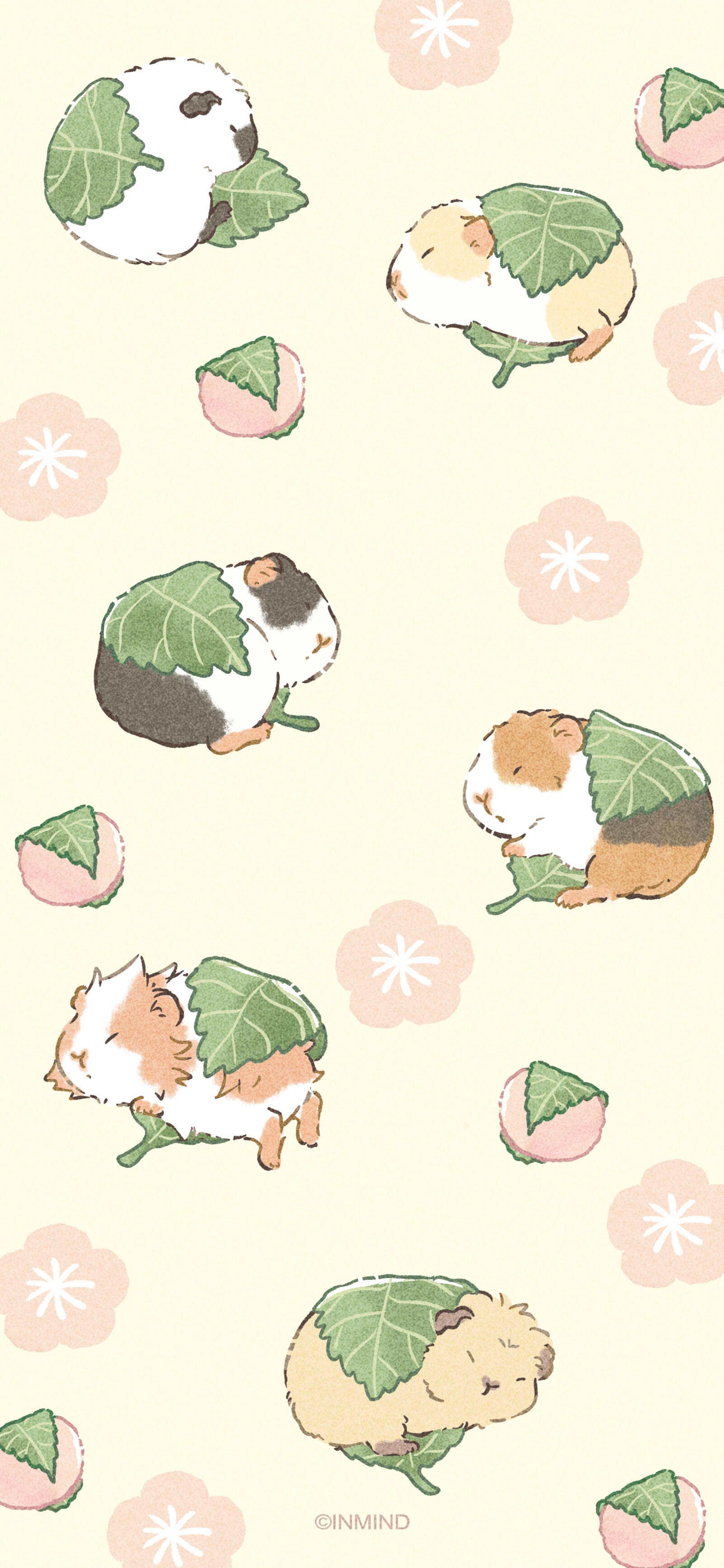 cute guinea pig backgrounds 0066