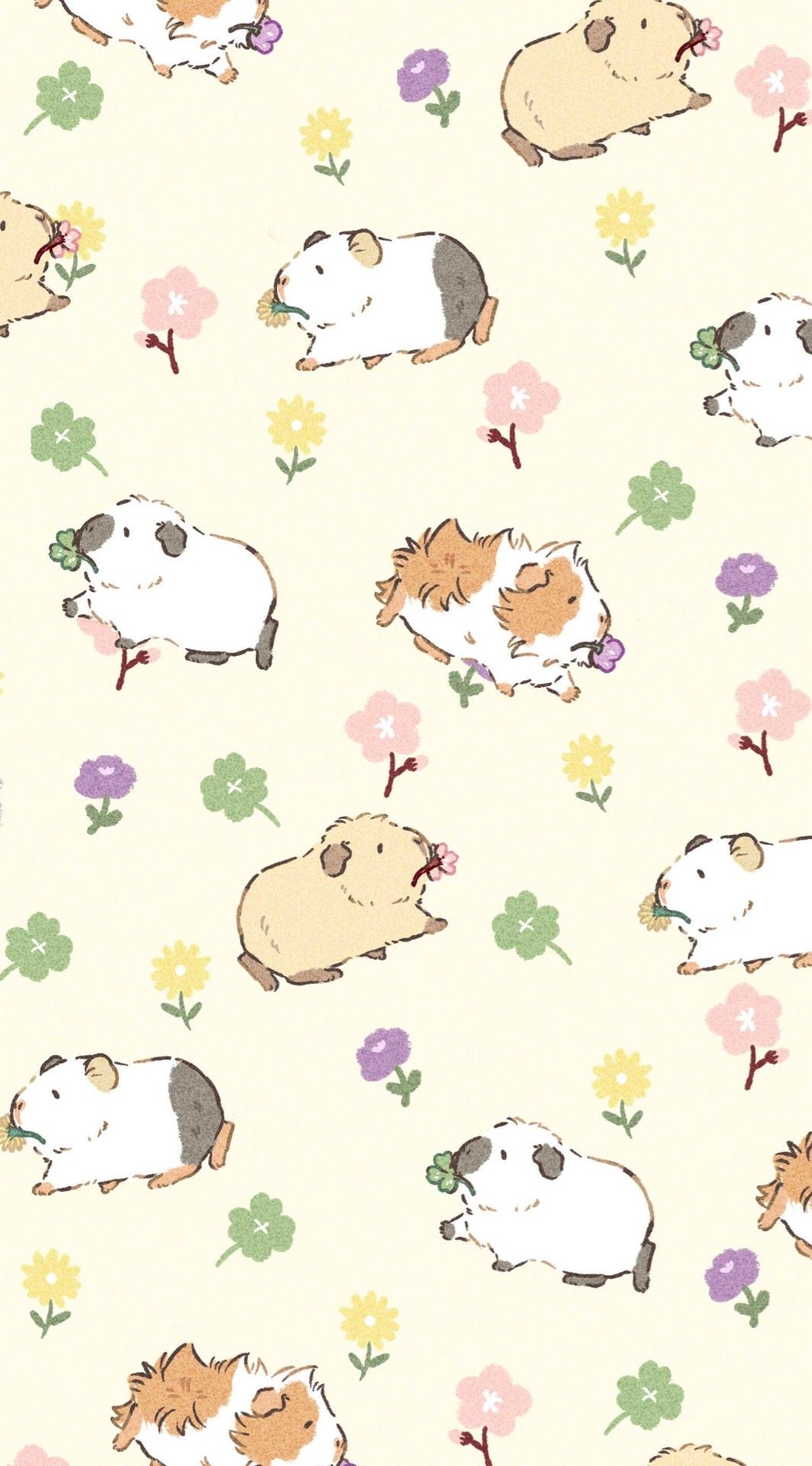 cute guinea pig backgrounds 0093