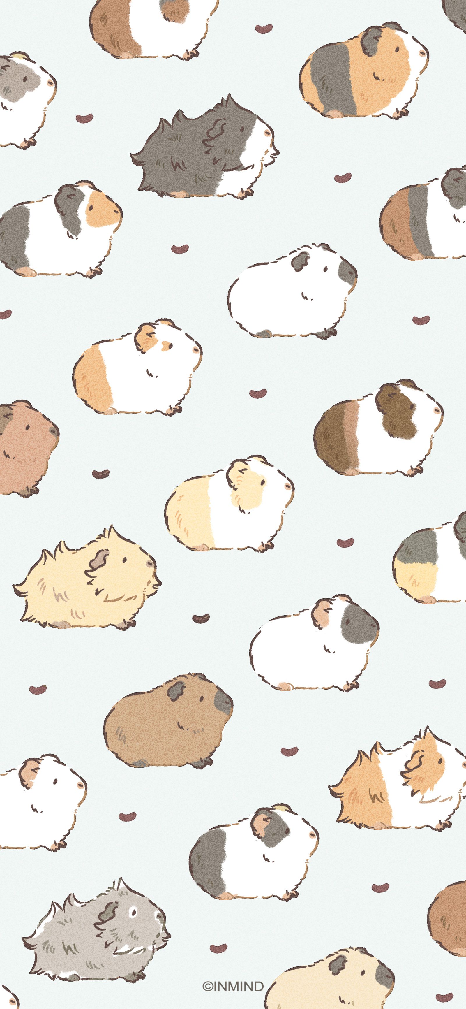 cute guinea pig wallpaper designs