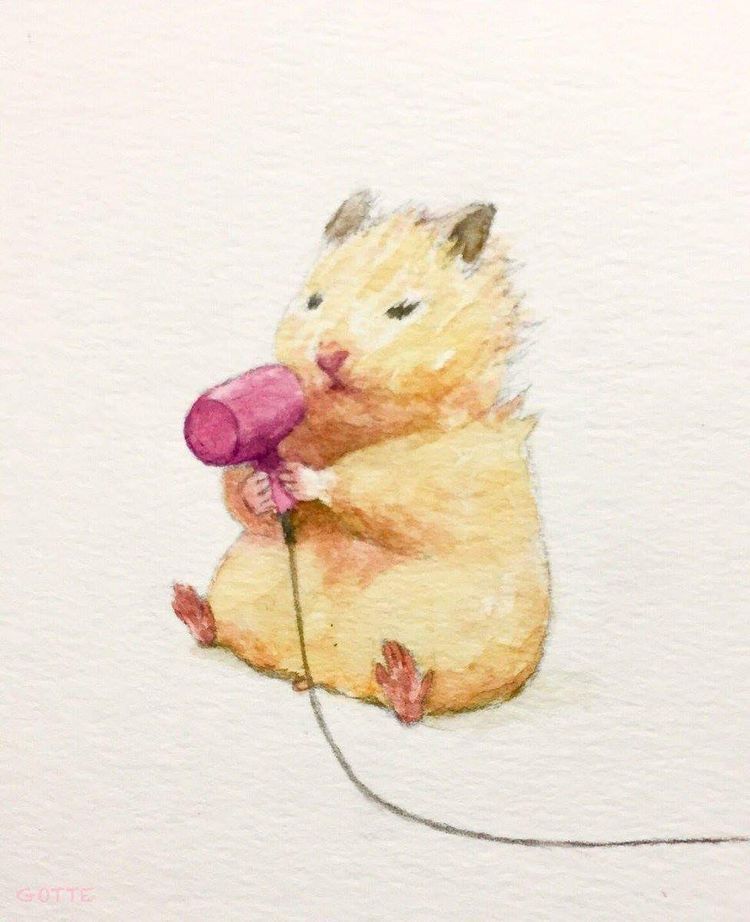 cute hamster backgrounds 0076