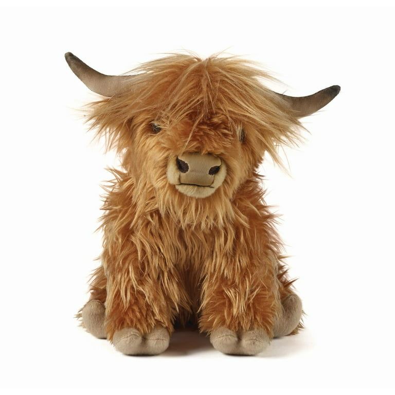 cute highland cow background 0013