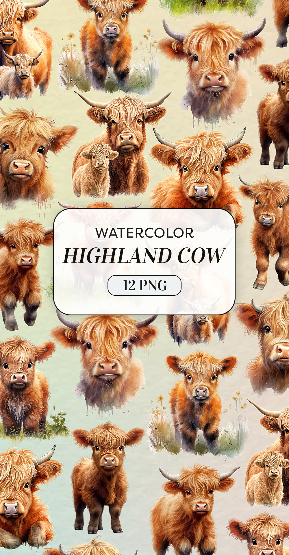 cute highland cow background 0069