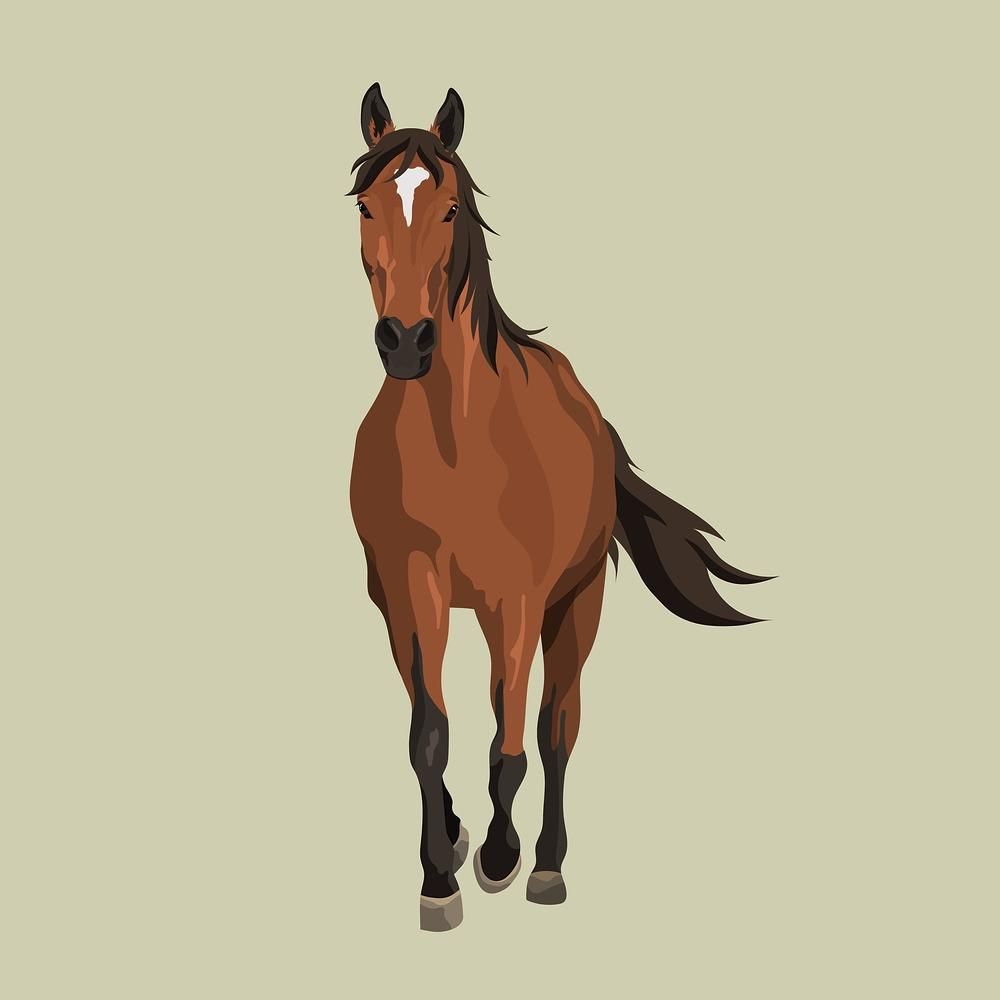 cute horse backgrounds for desktops