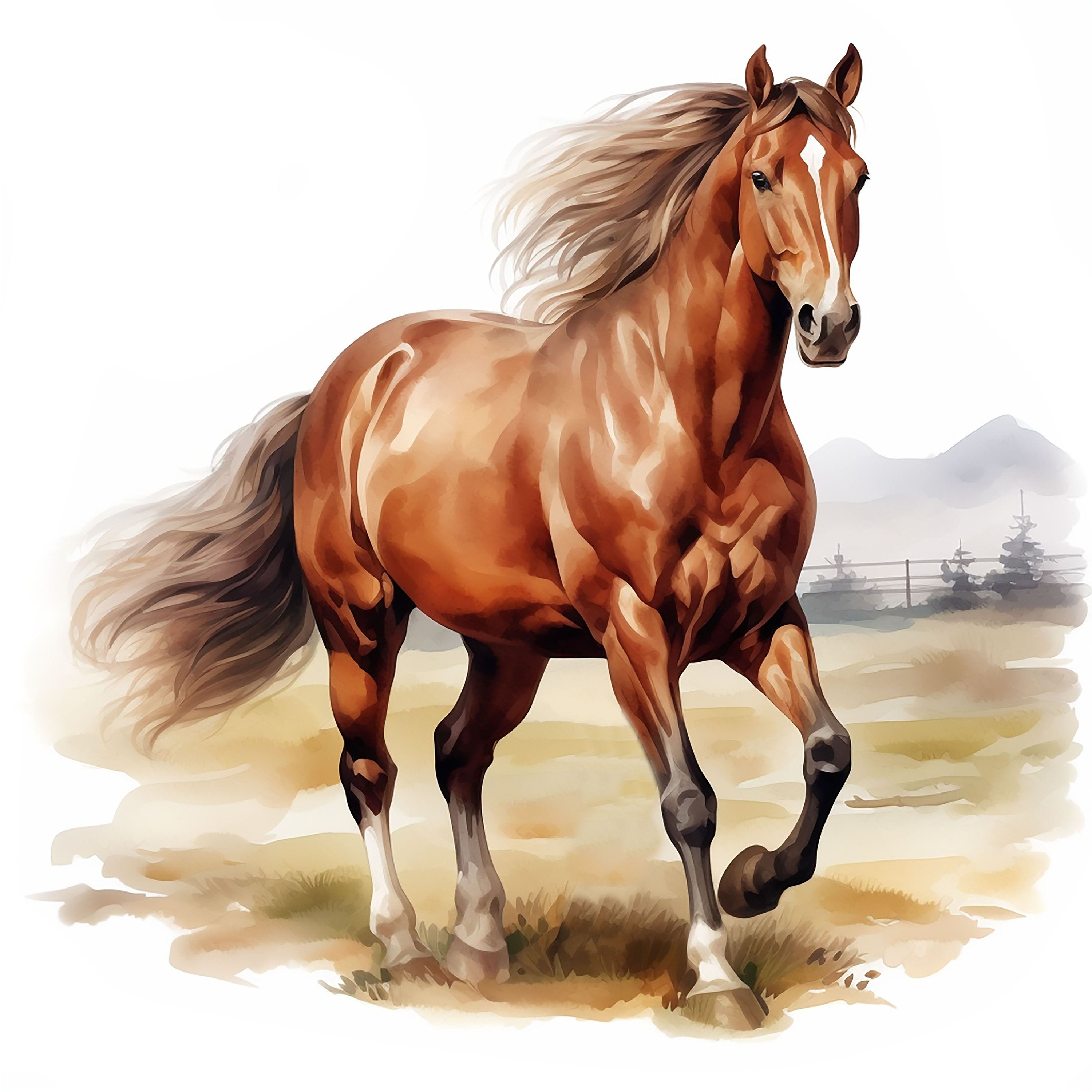 cute horse backgrounds 0099