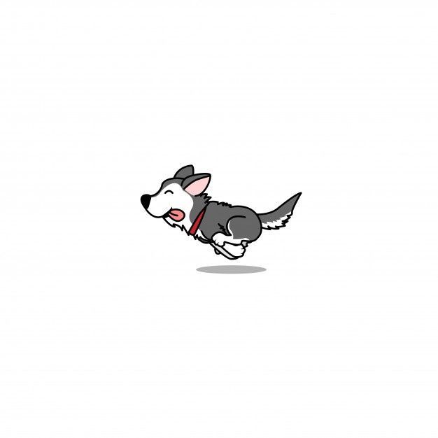 cute husky backgrounds 0020