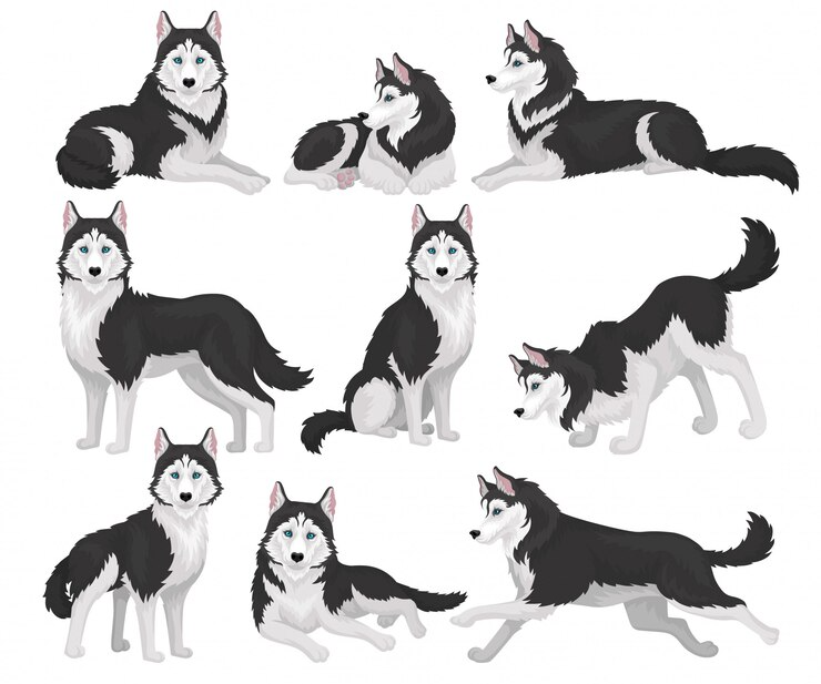 cute husky backgrounds 0040