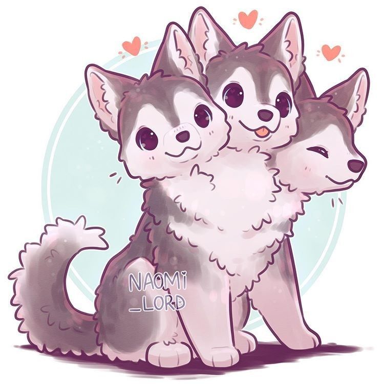 cute husky backgrounds 0078