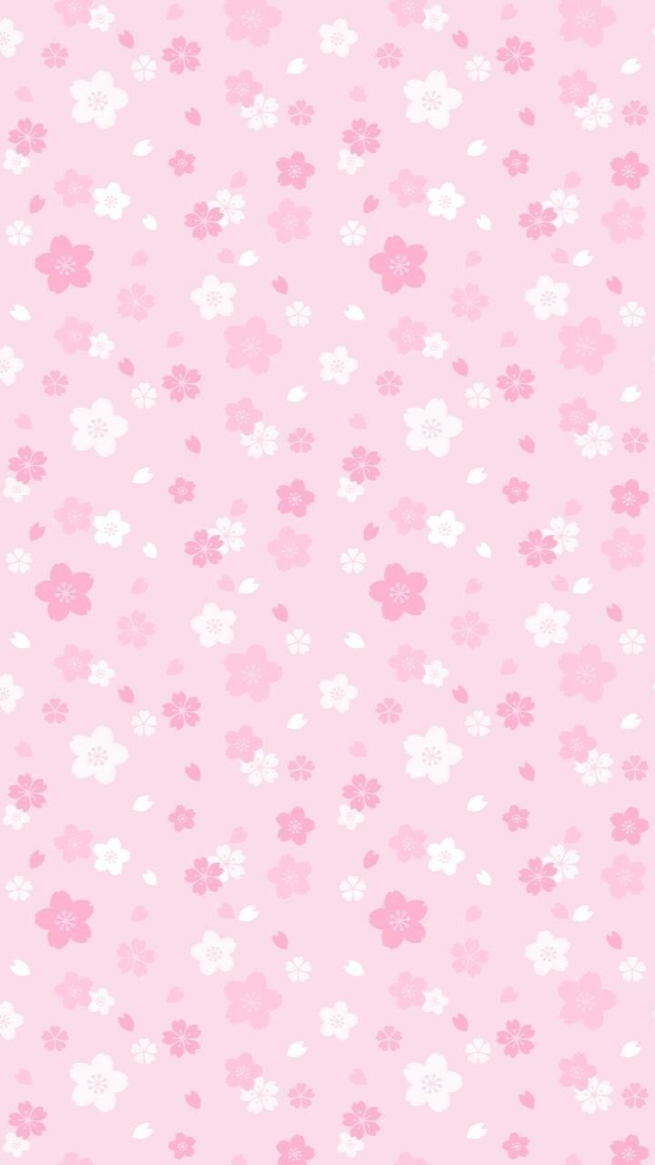 cute iphone 11 backgrounds 0045