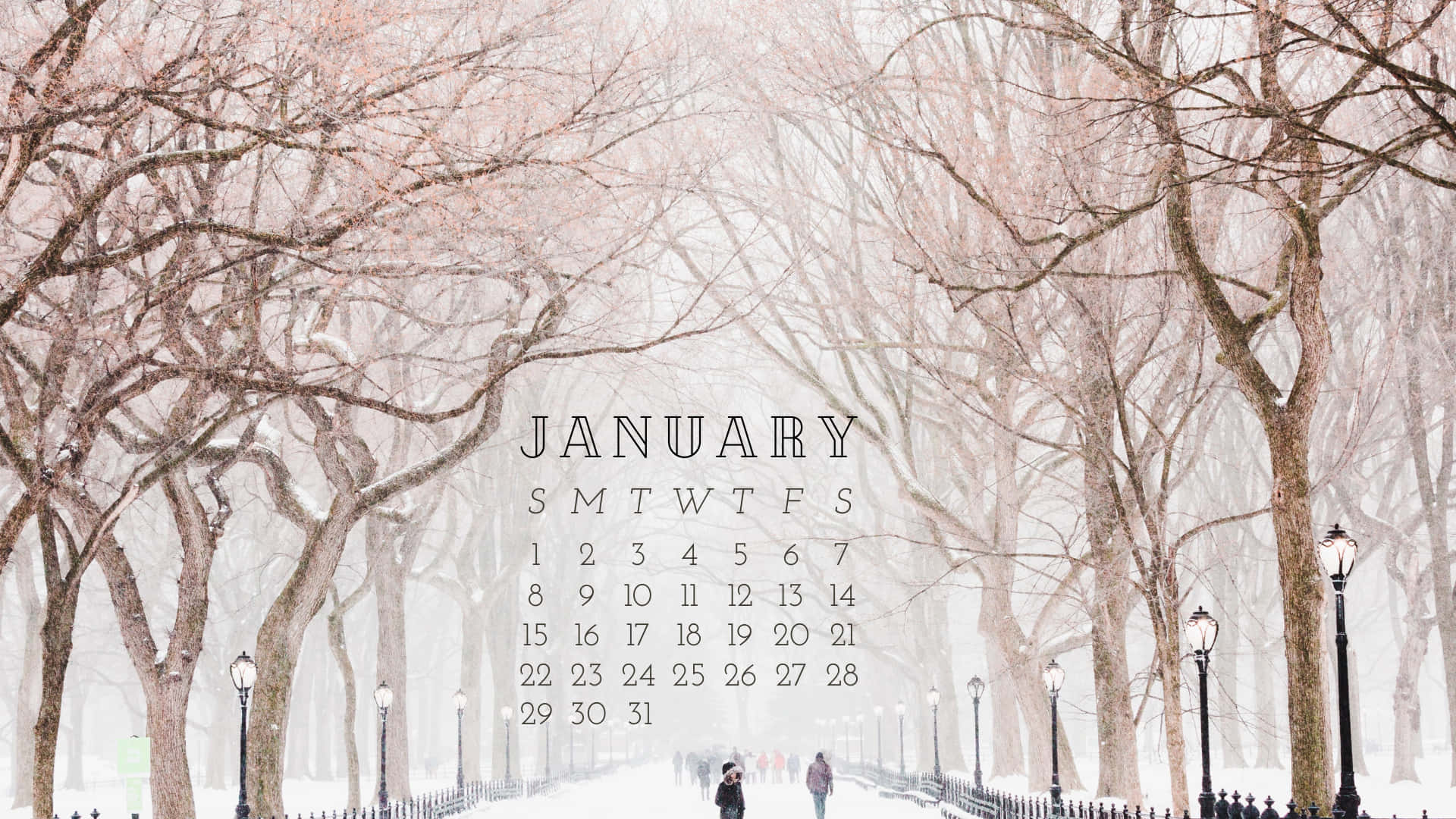 cute january backgrounds 0027