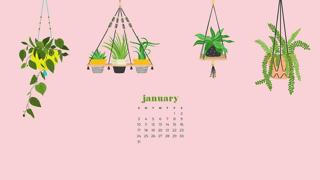 cute january backgrounds 0038