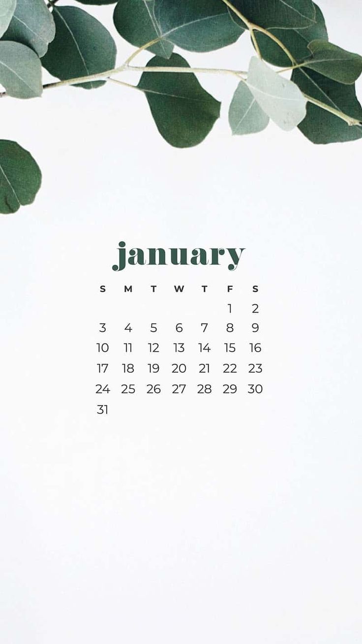 cute january backgrounds 0039