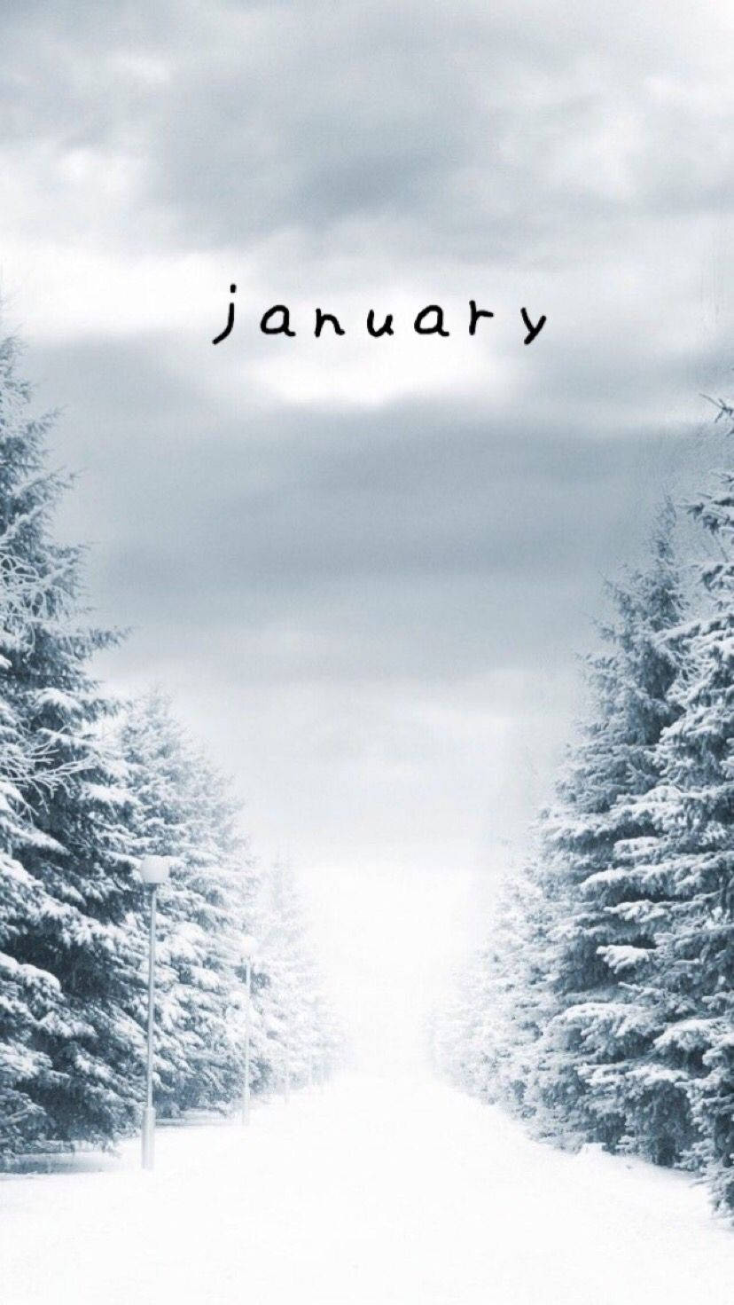 cute january backgrounds 0042