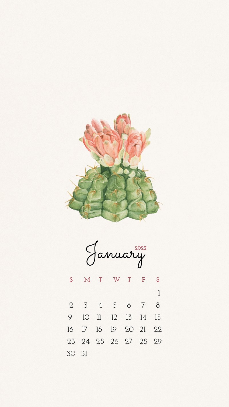 cute january backgrounds 0043