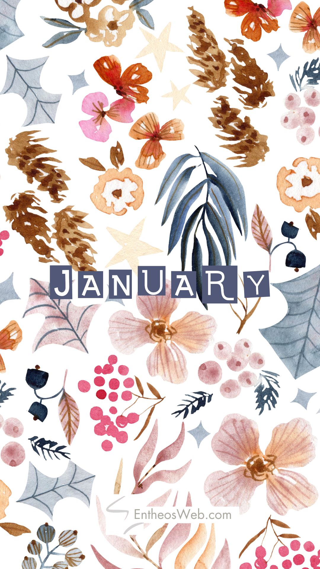 cute january backgrounds 0044