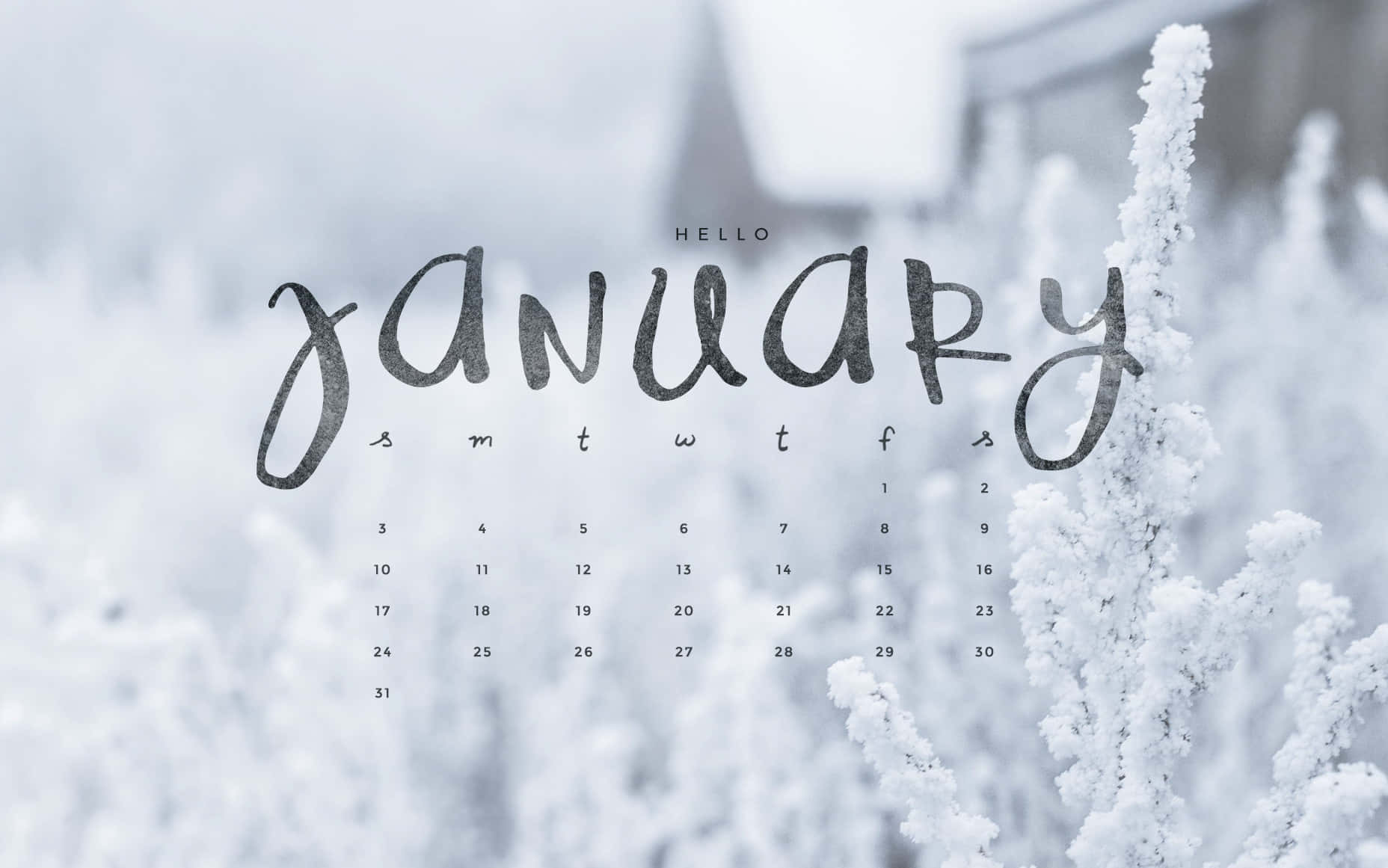 cute january backgrounds 0051