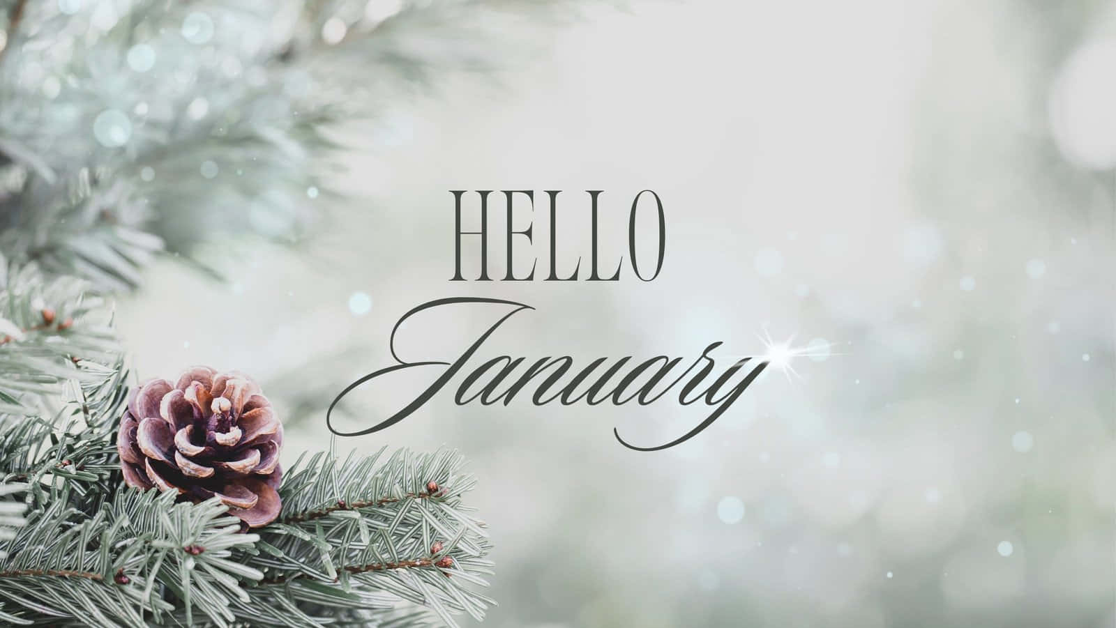 cute january backgrounds 0080