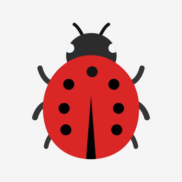 cute ladybug backgrounds 0020