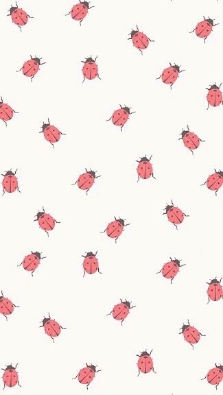 cute ladybug backgrounds 0022