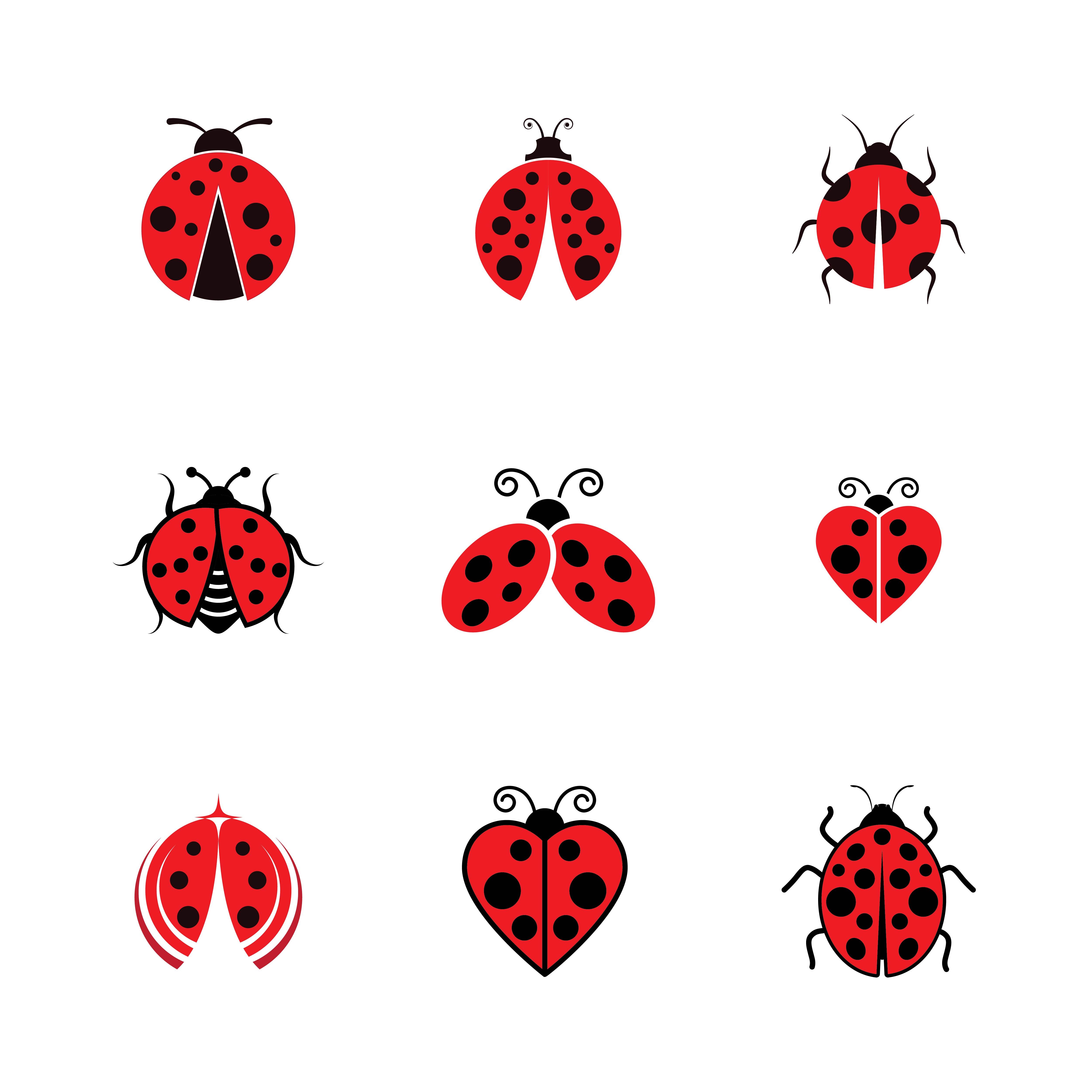 cute ladybug backgrounds 0032